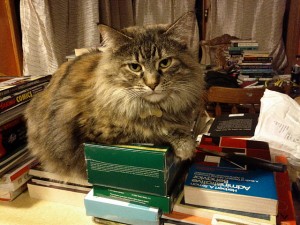 IMG_20111120_003644