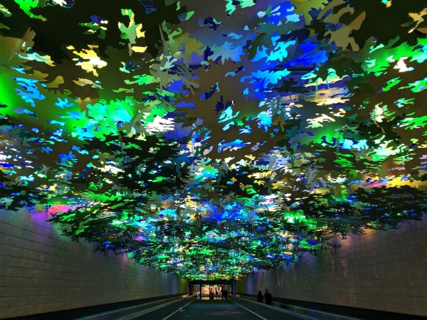 The forest sky of the Atlanta airport.
