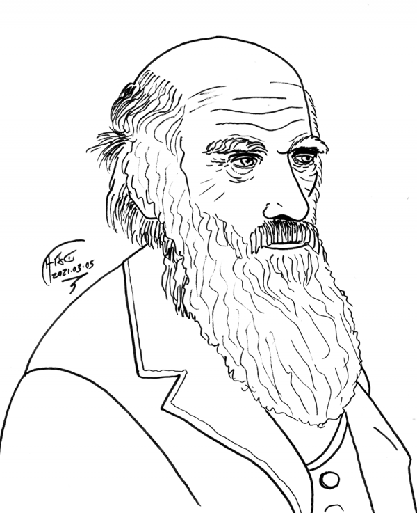 darwin sketch
