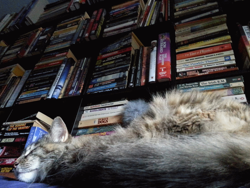 lenora at rest in the library